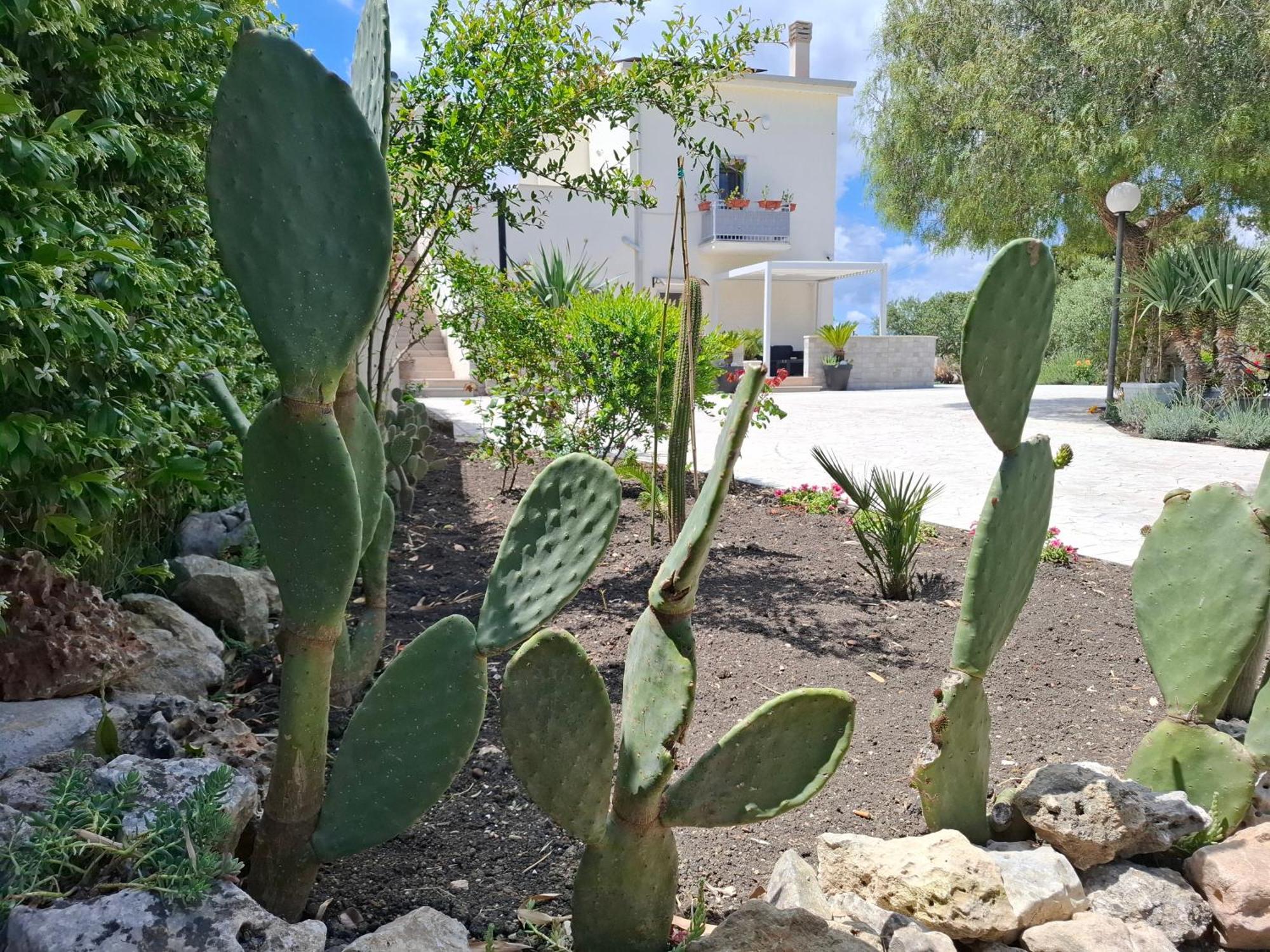 A Casa Di Anna - Locazione Turistica - Hotel Matera Buitenkant foto